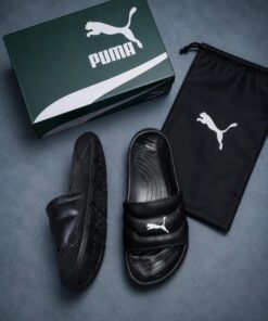 Puma divecat