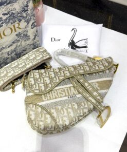 TRENDY DIOR SADDLE