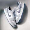NIKE SB DUNK LOW LIGHT CARBON