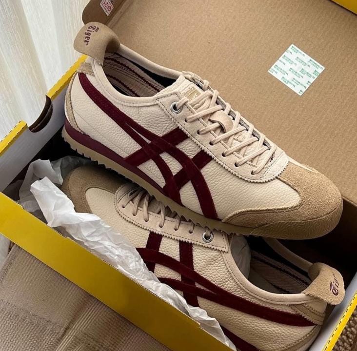 IMG-20260909-WA0025